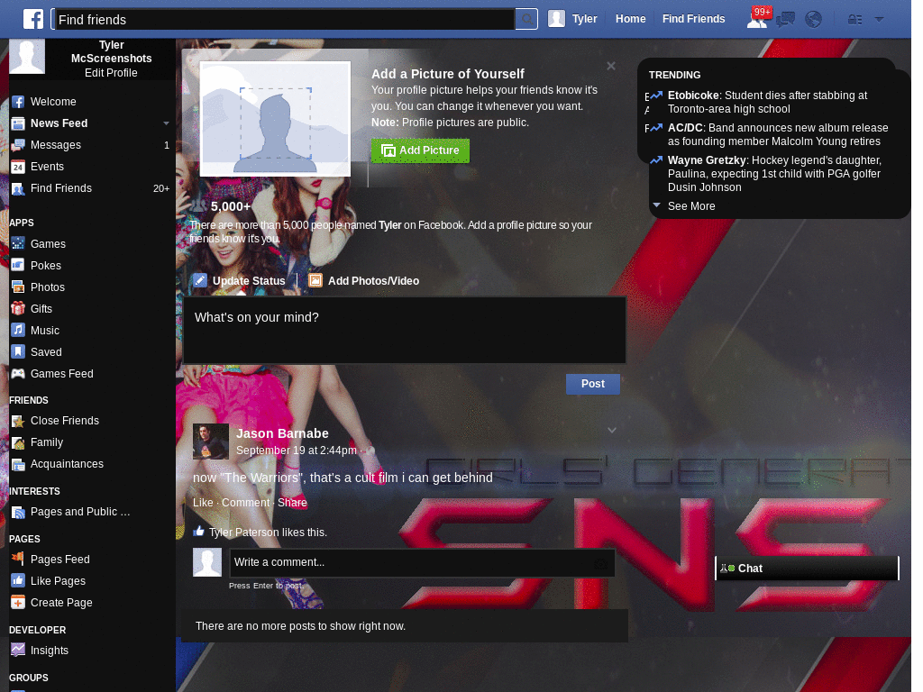SNSD FB THEME