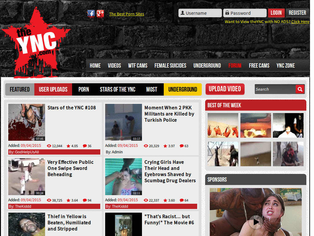 theYNC.com cleanup