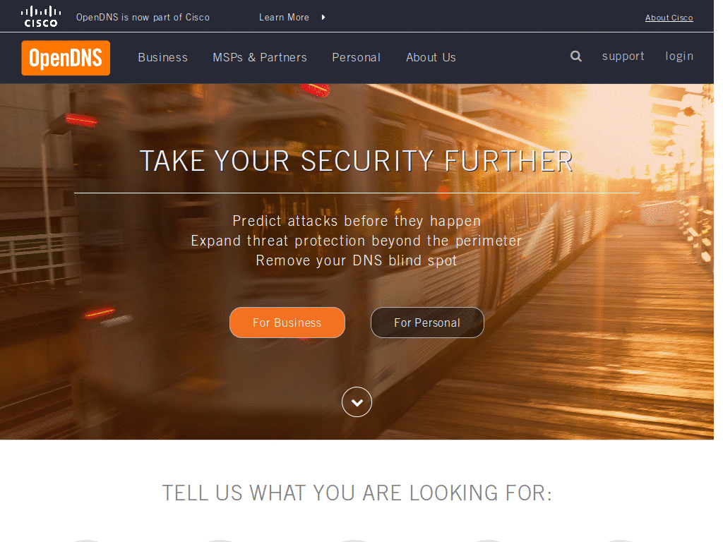 Website: cleaner - opendns.com [new]