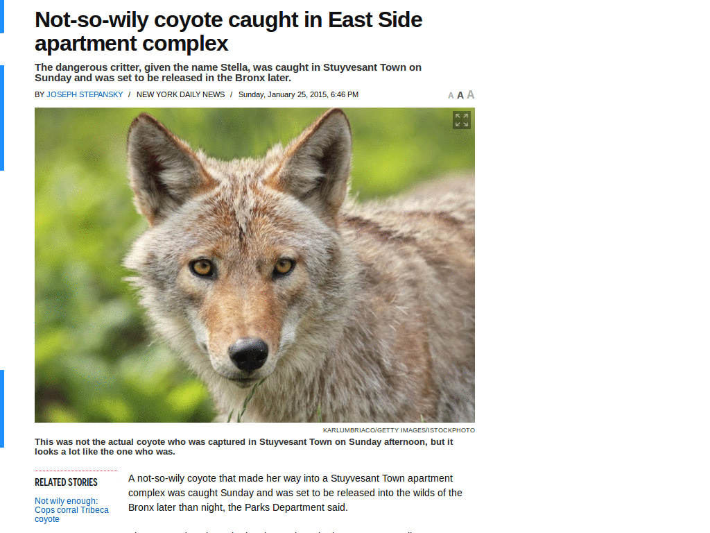 autohide the menu & sidebar [New York Daily News]