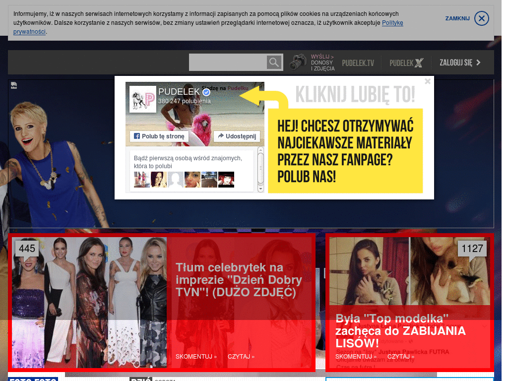pudelek.pl 1280 bez reklam :)