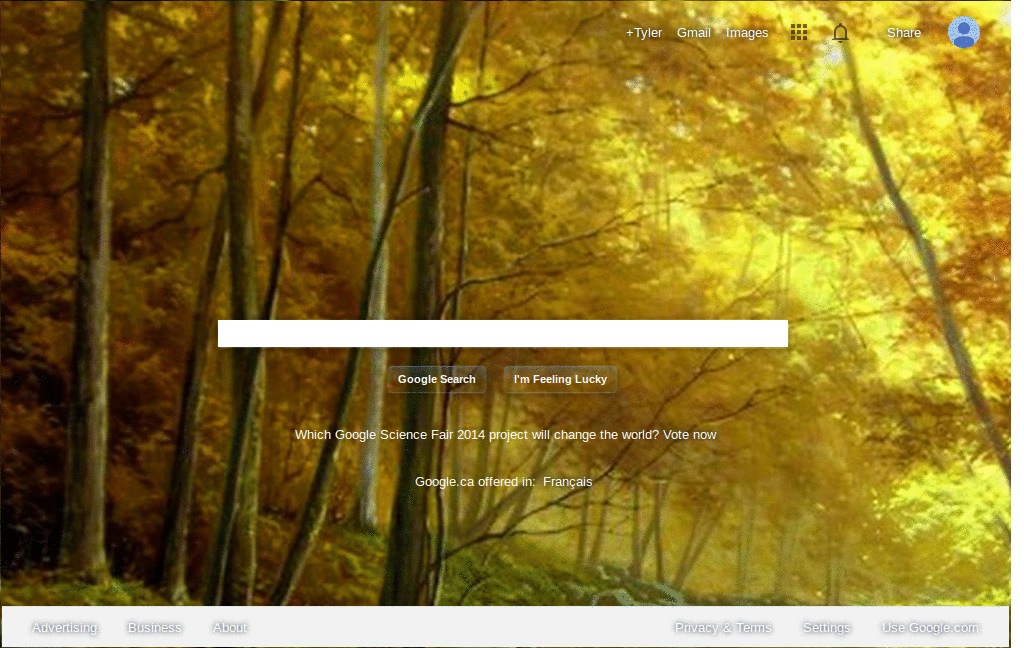 Paisajes para google