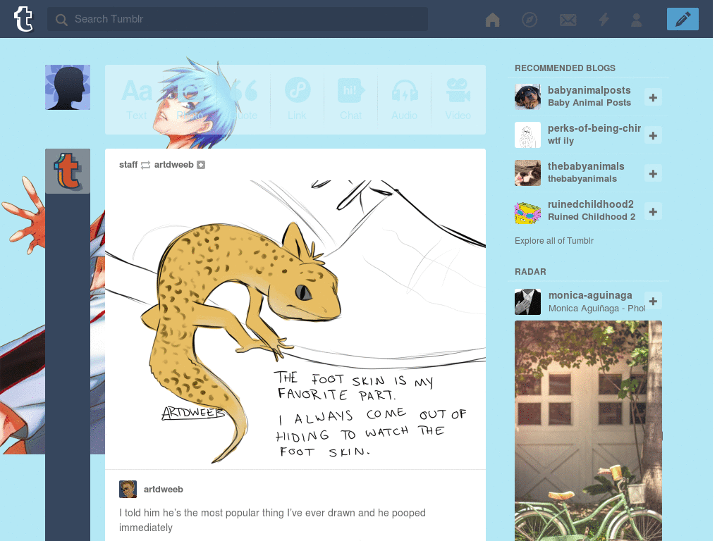 Kuroko Tetsuya [Tumblr dash theme]