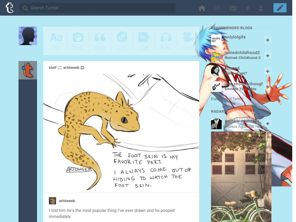 Kuroko Tetsuya, mirrored [Tumblr dash theme]