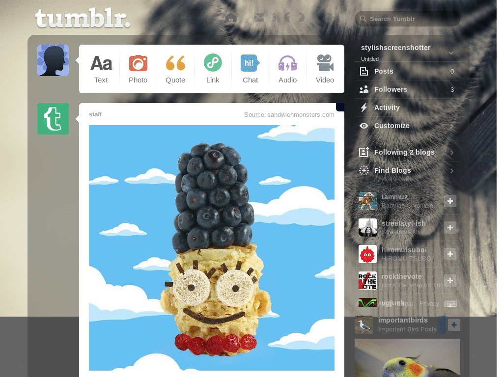 Cat Tumblr theme