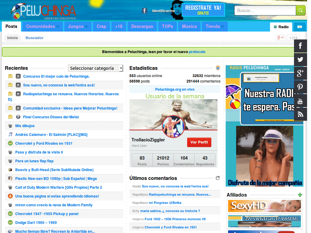 Peluchinga Color Pink (Para Peluchingueras)