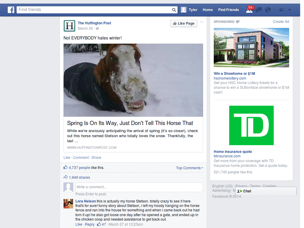 Facebook Helvetica Neue