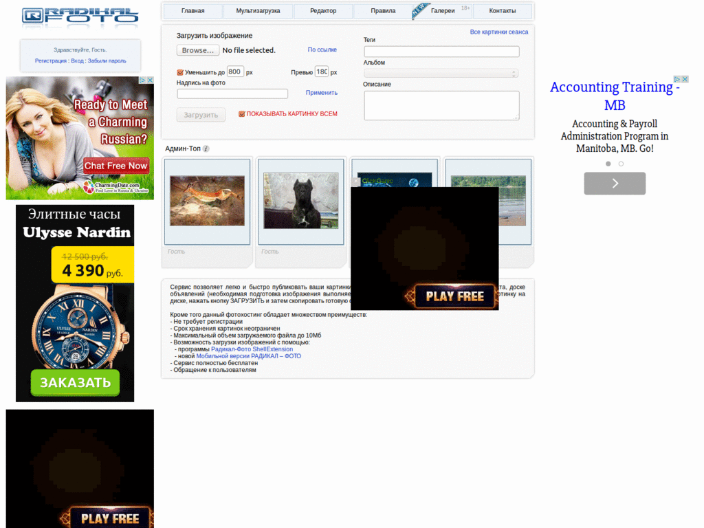 Radikal Gallery Lite + NO ADS