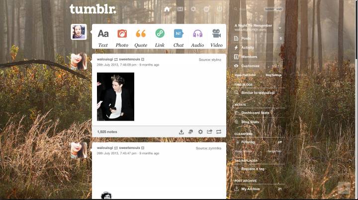 Foggy Woods Tumblr Dashboard Theme | sweetenouis