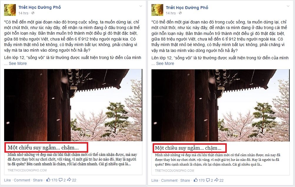 Facebook Link's Preview Font