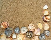 000.Test,Don't install!