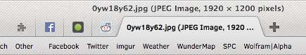 FXChrome Australis Style