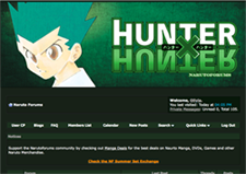 Hunter x Hunter Skin