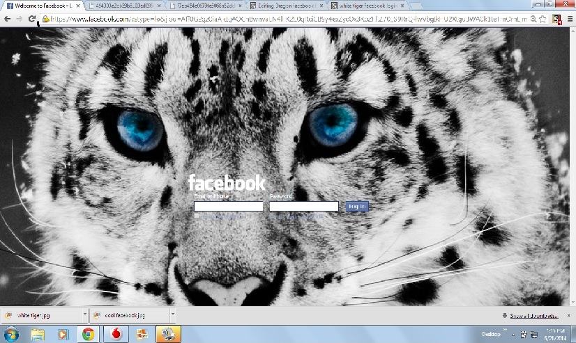 white tiger facebook (login theme) - isourish
