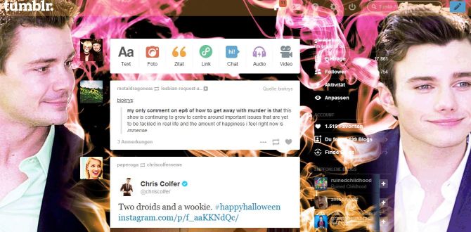 Chrisneyland tumblr dashboard theme 1