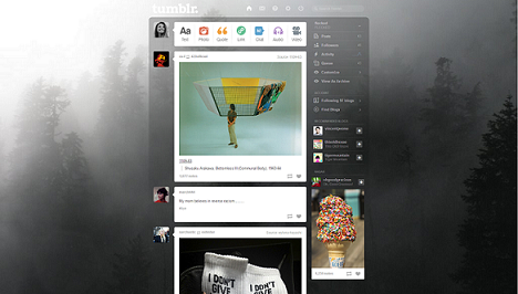 Tumblr Pale Forest Dashboard