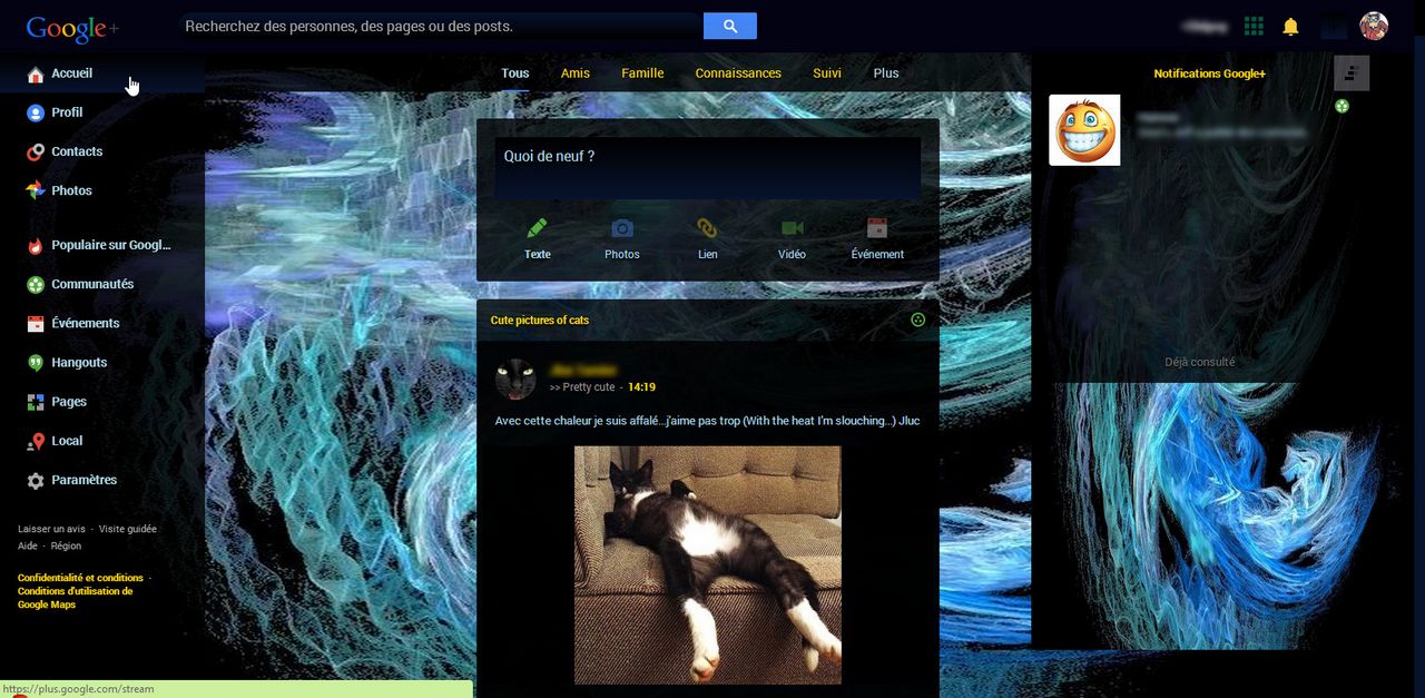 Didpoy Google + Blue
