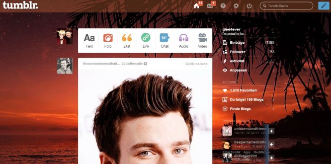 Summer Sunset tumblr dashboard theme