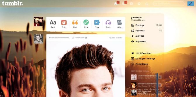 Sunny Corn Field tumblr dashboard theme