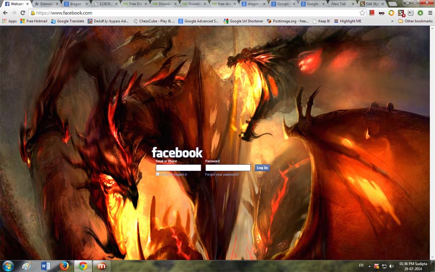 Fire Dragon Facebook Login Theme