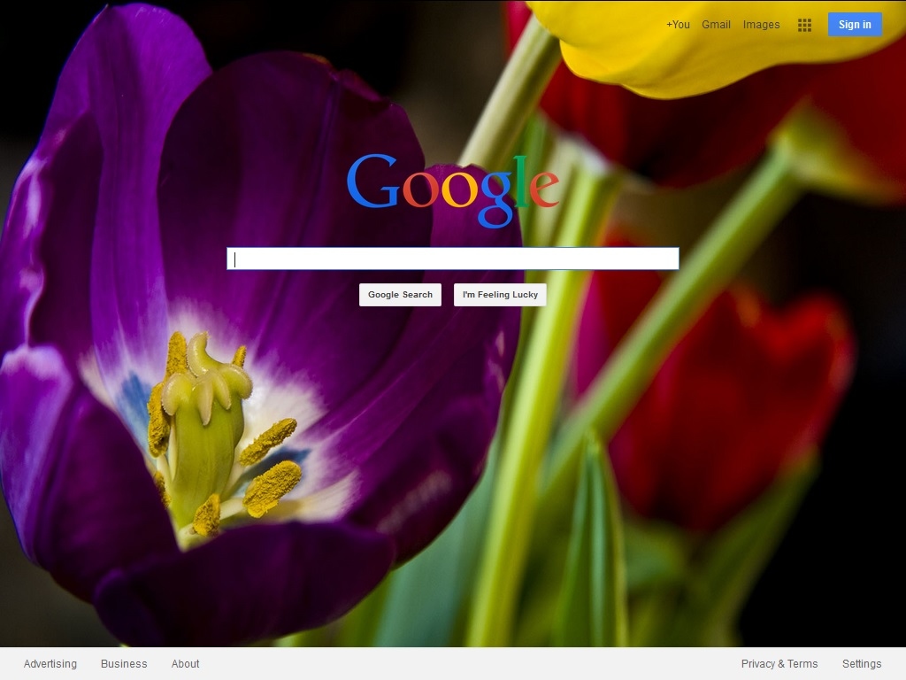 Google Flower