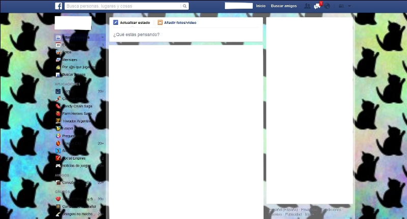 Cats Facebook