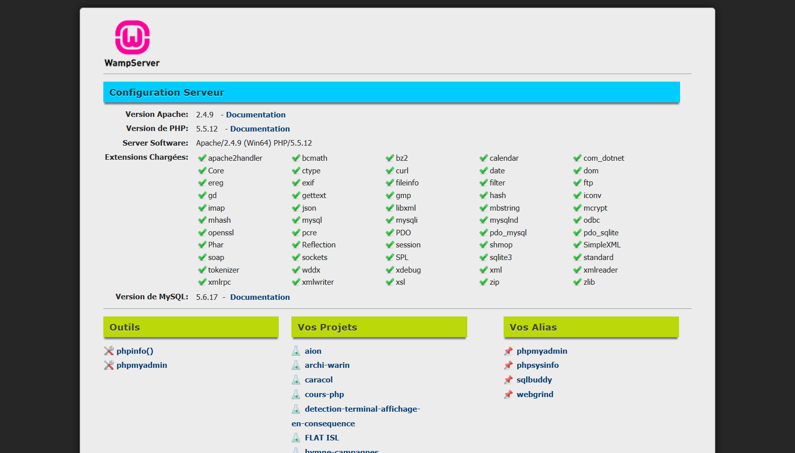 Theme Localhost (Wamp)