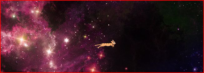 YouTube –  Cat progress bar video player theme