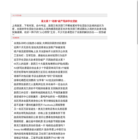 skykiwi simplifier