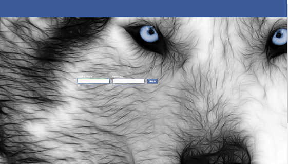 Wolf EyEs
