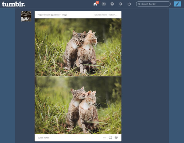 Make Tumblr Look Somewhat Sane Again