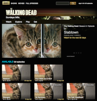 AMC Walking Dead Kitten Episode Images