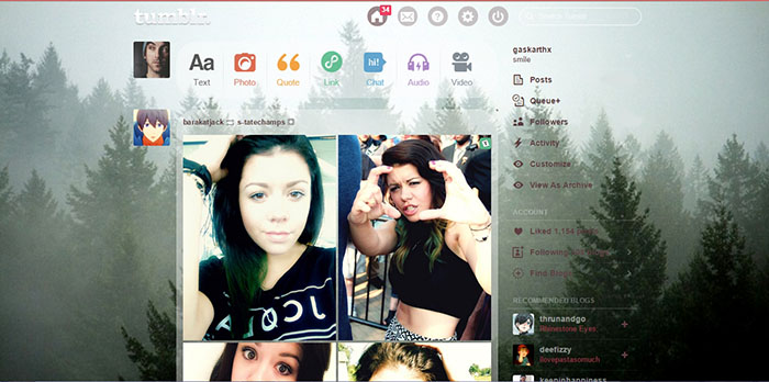 pale forest tumblr dashboard