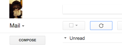 Custom Google Icon