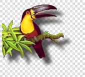 Firefox View Image Page - Checkerboard Background