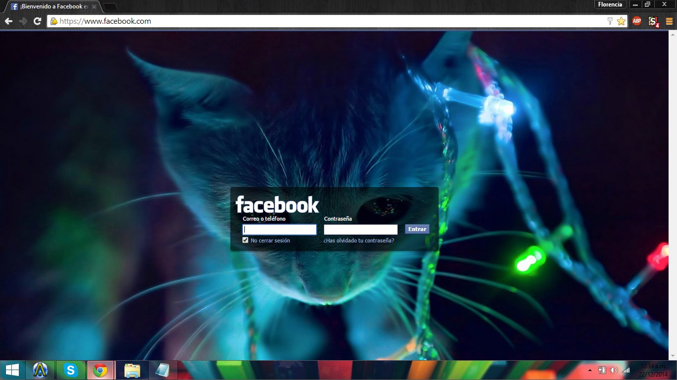 Christmas Lights Cat - Facebook Login