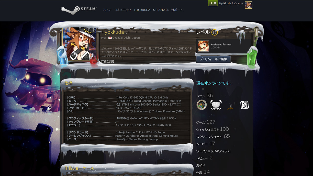 Steam - Holiday Profile 2014