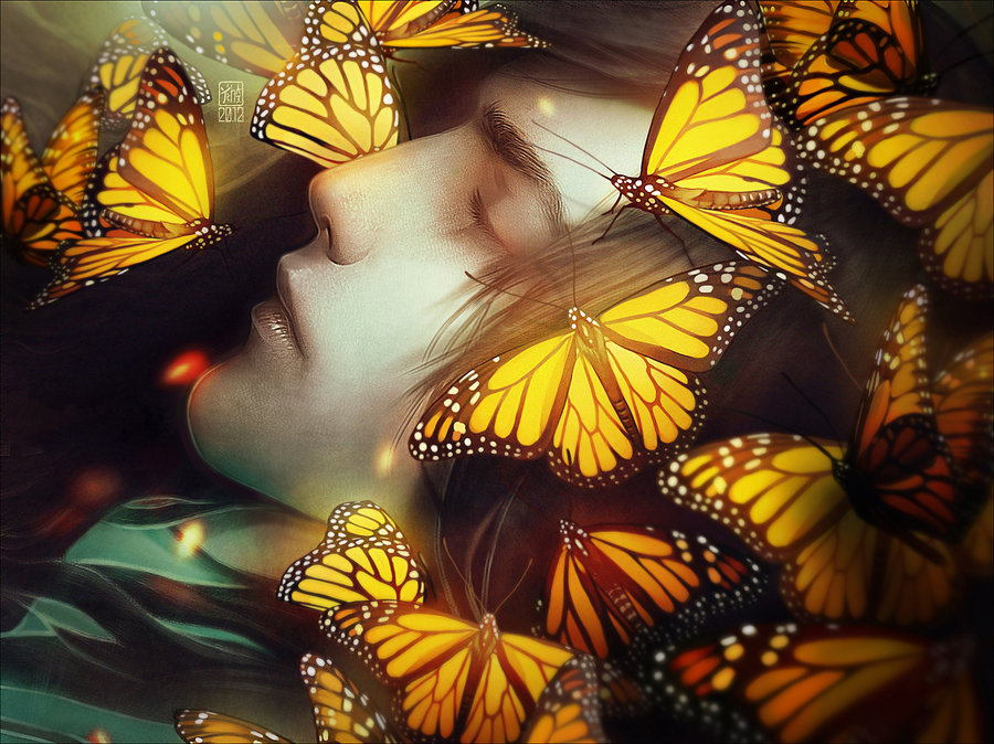 Sleeping With Butterflies - Facebook theme Login