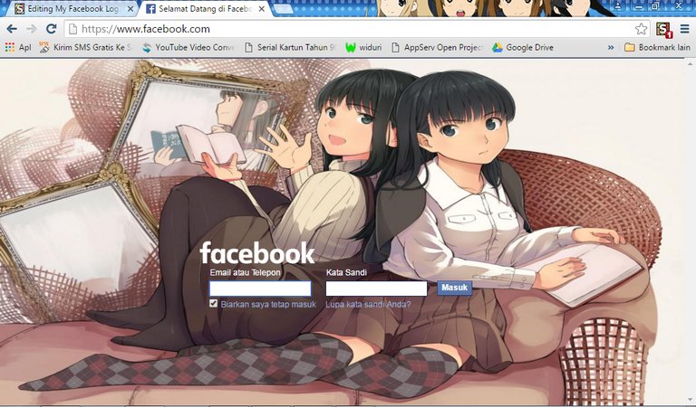 My Facebook Login Layout