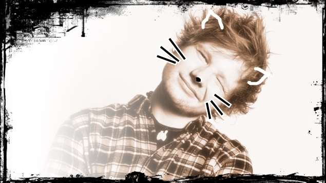 Ed Sheeran Theme