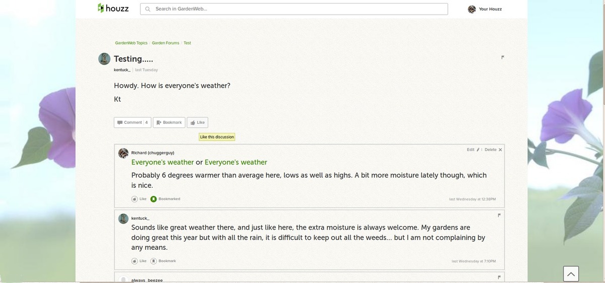 gardenweb (morning glory)