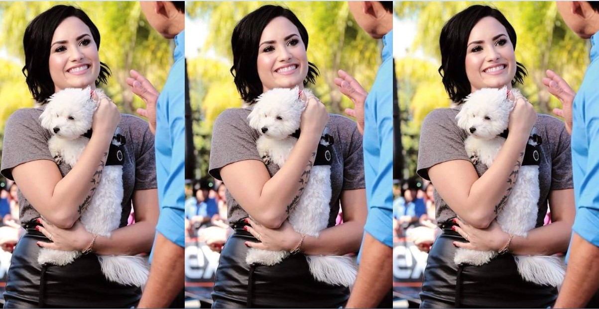 Demi Lovato87946517984657