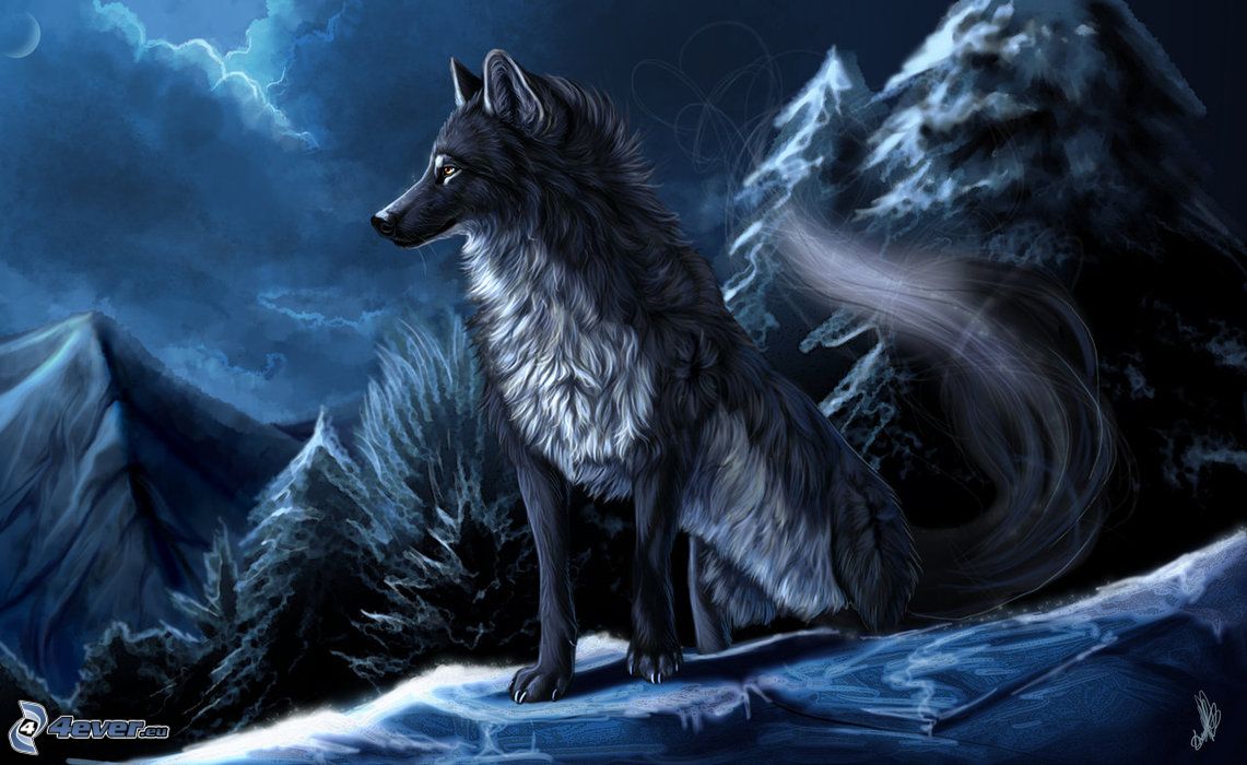 facebook_lobo_xD