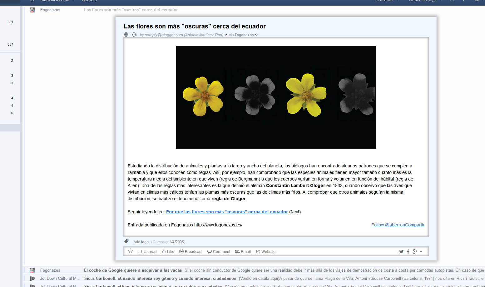 InoReader: Center Article Content and 3D effect