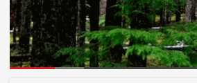 YouTube Hide Controls