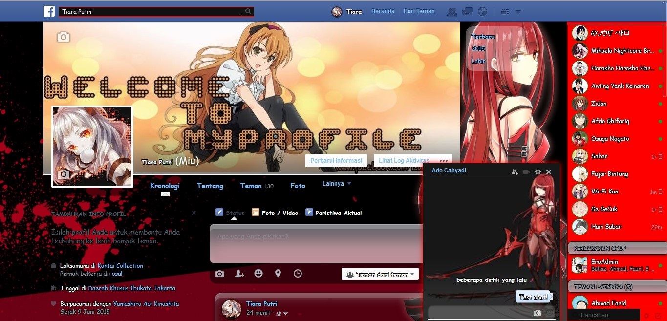 Elesis CrA Facebook Theme