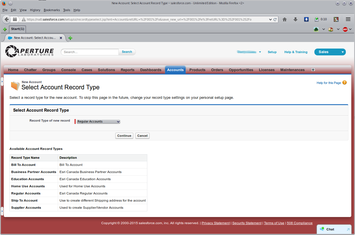 New Salesforce Custom Skin