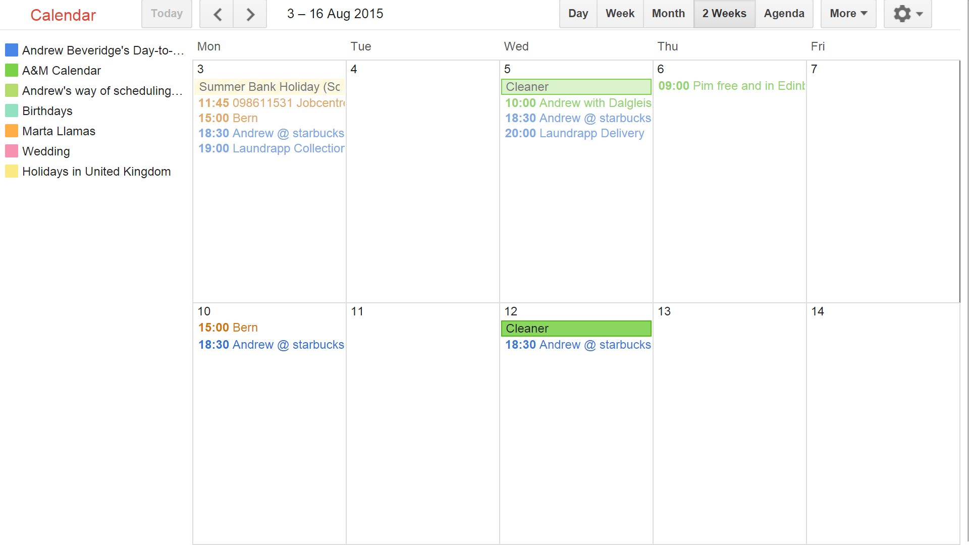 Big Screen Team Google Calendar