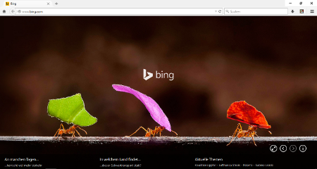 Bing Only