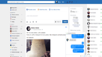 Facebook Flat and Chat By: Maag V1.0